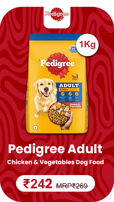 Pedigree Adult Chicken & Vegetables Dog Food 1 Kg