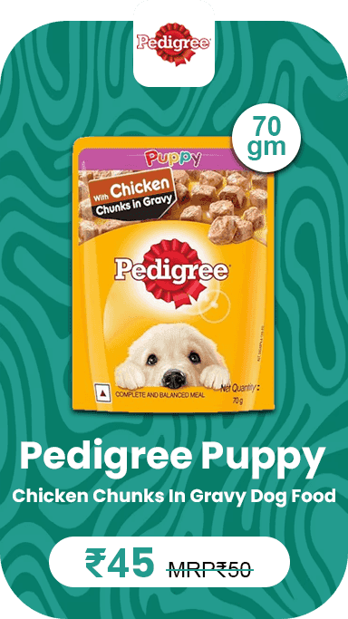 Pedigree Puppy Chicken Chunks In Gravy Dog Food 70 Gm