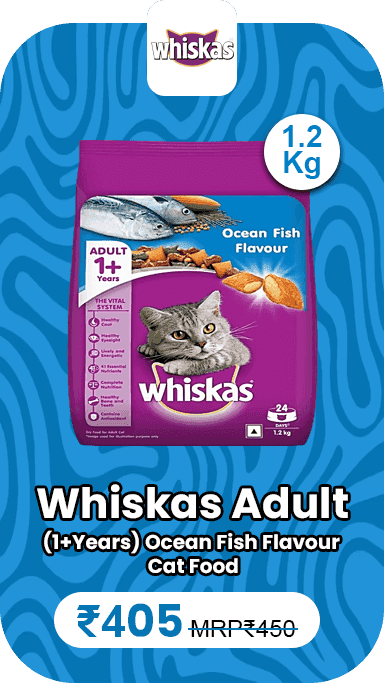 whiskas-adult-1-years-ocean-fish-flavour-cat-food-12-kg