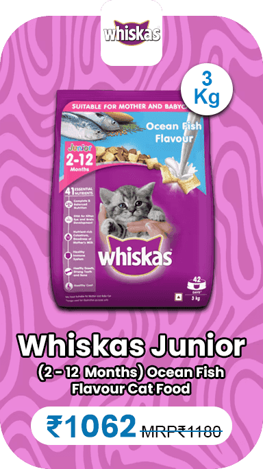 whiskas-junior-212-months-ocean-fish-flavour-cat-food-3-kg