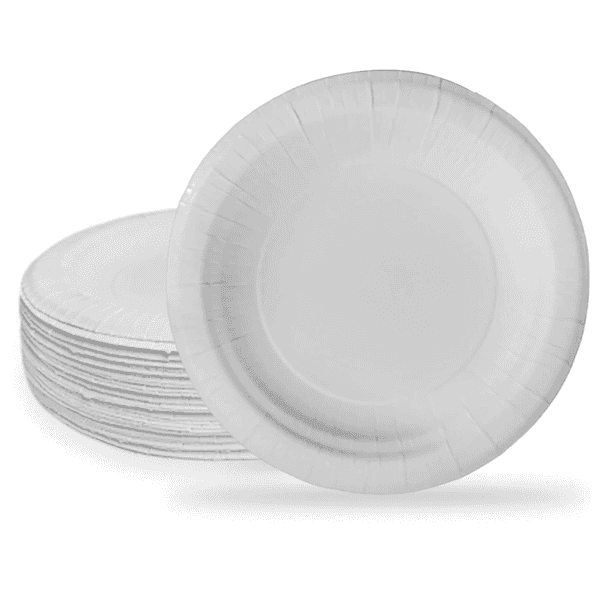 disposable mini paper plates 50 pcs